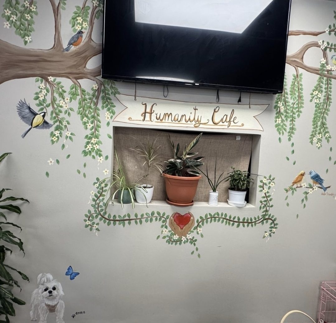The hand-painted Humanity Café mural with plants on the shelf